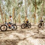 AMYET EB26 1500W Electric Fat Tire Bike