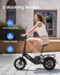 DYU 14" Folding Electric Bike with 500W Motor