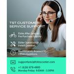 750W Electric Mountain Bike with Fat Tires