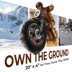 Skeri 750W Adult Electric Scooter with Fat Tires