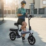 AOVOPRO EB60 Folding Electric Bike with Two Seats