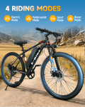 Bycyla Folding Electric Bike with 750W Motor