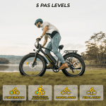 Skeri 26" Fat Tire Electric Bike, 500W Motor