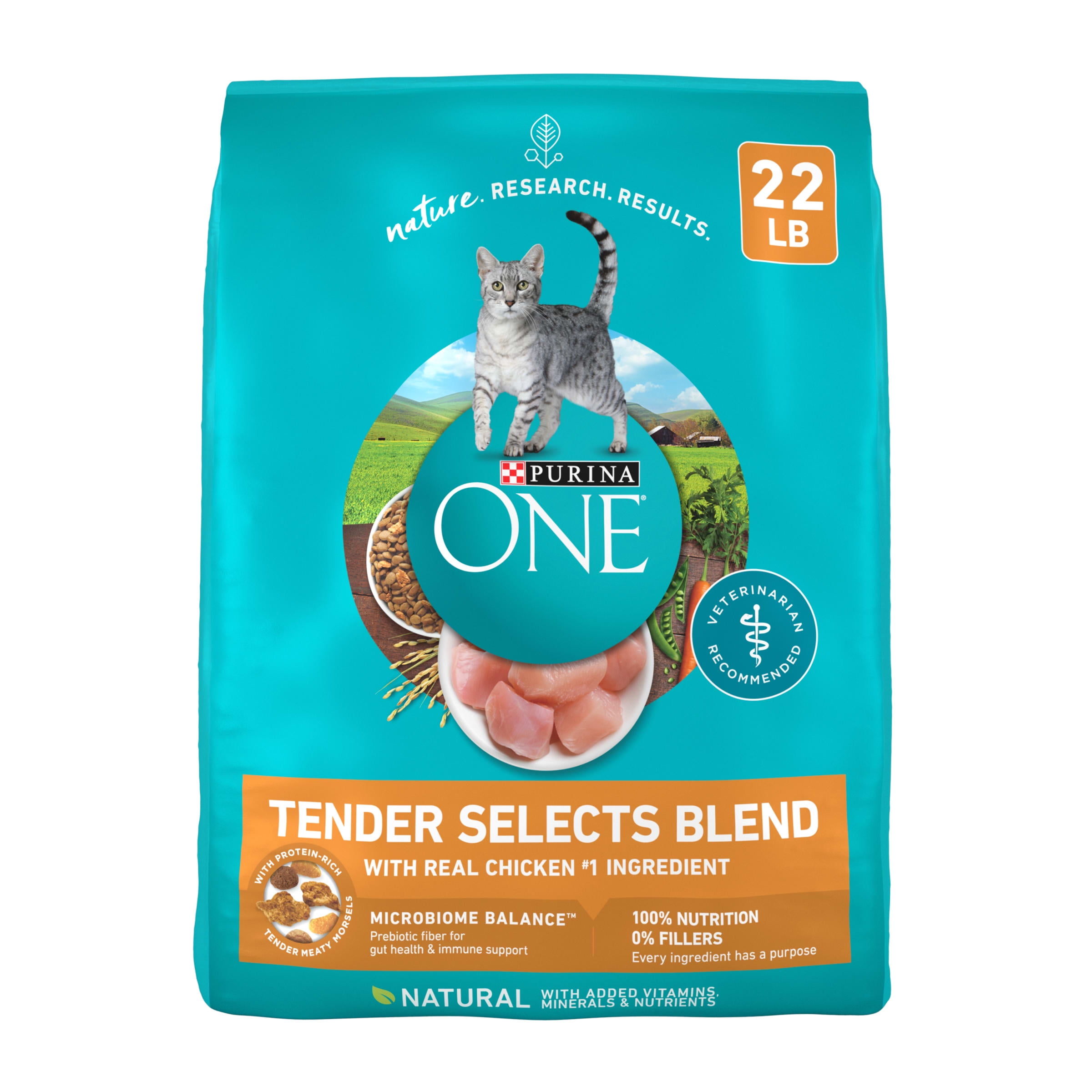 Purina ONE Tender Blend Chicken Cat Food