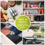 10-Year Fridge Deodorizer - Bye Odors!