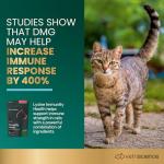 VetriScience Immunity Chews for Cats and Kittens