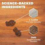 VetriScience Immunity Chews for Cats and Kittens