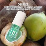 Sol de Janeiro Cheirosa 39 Travel Size Mist