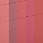 Bayfree Tinted Lip Balm Plumper with Jojoba Oil