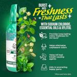 GuruNanda Wild Mint Fresh Breath Mouthwash - 2 Pack