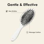 World-Famous Paddle Brush for Shiny, Smooth Hair