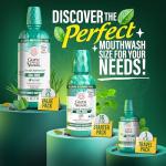 GuruNanda Wild Mint Fresh Breath Mouthwash - 2 Pack