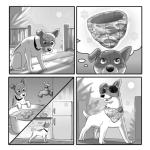 Chill Out Refreshing Bandanas for Ultimate Cool