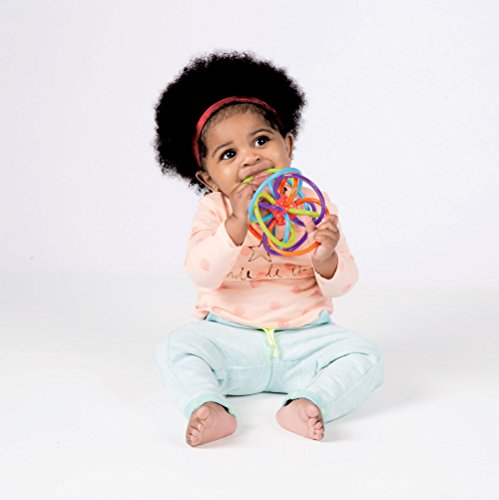 Manhattan Toy Winkel Rattle and Teether for Babies