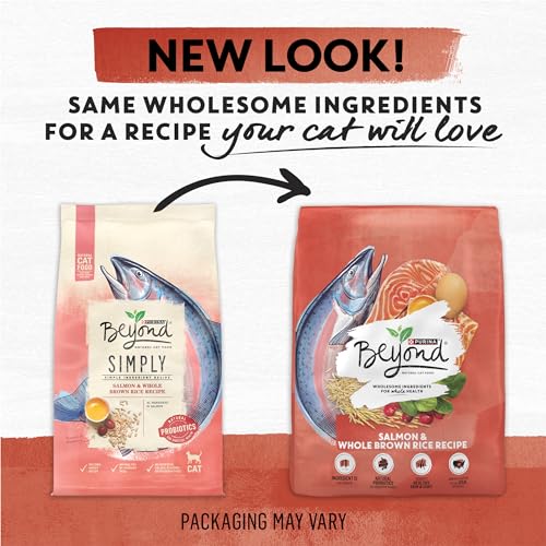 Purina Beyond Salmon & Brown Rice Cat Food