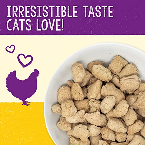 Stella & Chewy's Freeze-Dried Raw Cat Food Morsels