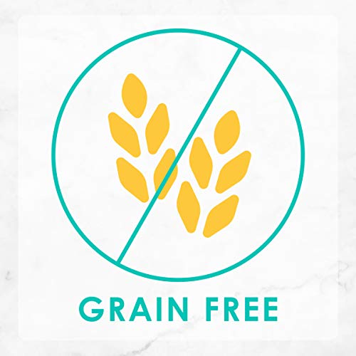 Fancy Feast Grain Free Seafood Pate Cat Food