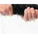 Men's Sparta Helmet Greek Warrior T-Shirt