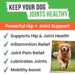 Pawsential Hemp Mobility Support Dog Treats 120ct