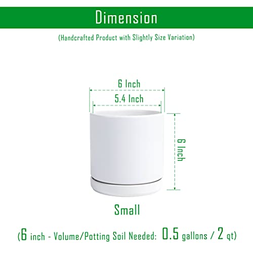 D'vine Dev White Ceramic Planter with Saucer
