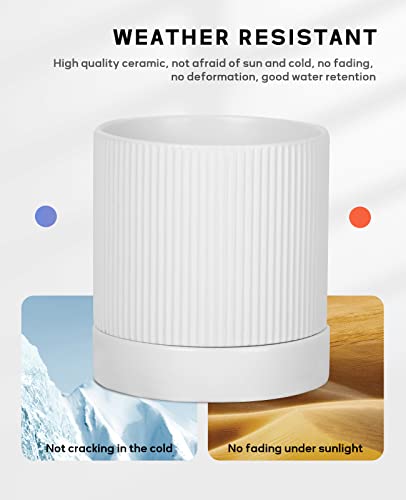 Nordic Ceramic Plant Pots with Drainage - Set of 3