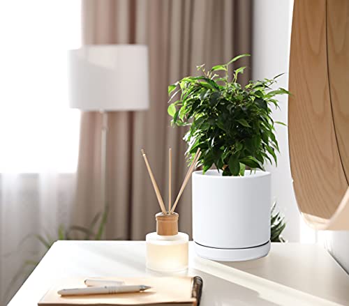 D'vine Dev White Ceramic Planter with Saucer