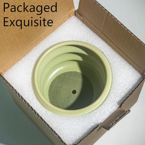 Stylish White Ceramic Plant Pot for Indoor Use