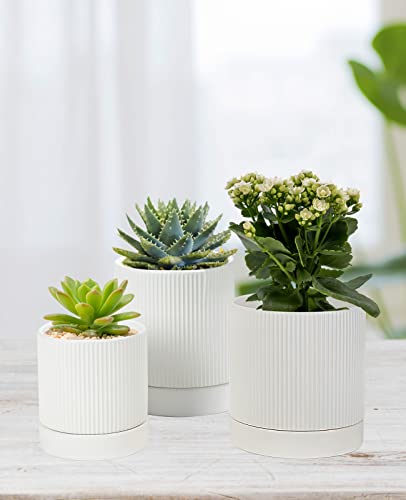 Nordic Ceramic Plant Pots with Drainage - Set of 3