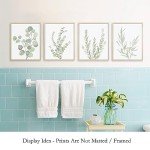 Botanical Boho Wall Art Prints Set of 4