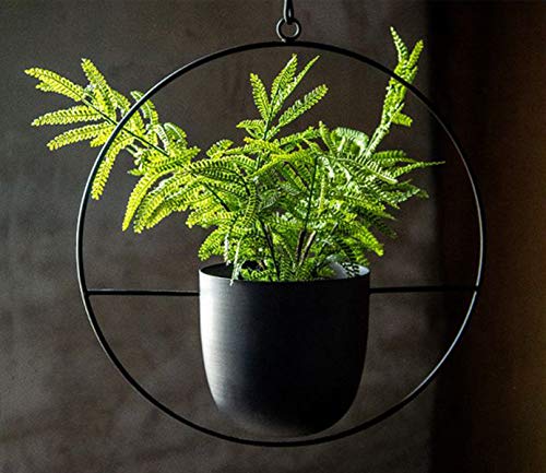 Black Metal Wall Planter for Modern Spaces