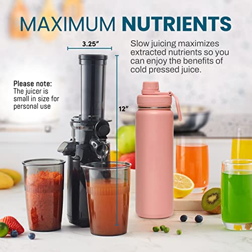 Compact Cold Press Masticating Slow Juicer, Charcoal Grey
