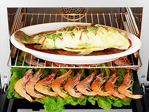 Robam Portable Convection Oven CT761 with Steam