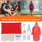 Ultimate Roadside Emergency Kit with Jumper and Compressor