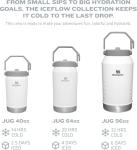 STANLEY IceFlow 40 oz Flip Straw Jug