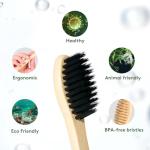 Eco-Friendly Bamboo Toothbrushes - 10 Pack