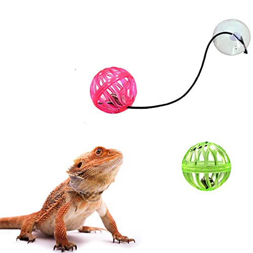6 Pack Bearded Dragon Toy Balls with Suction Cups