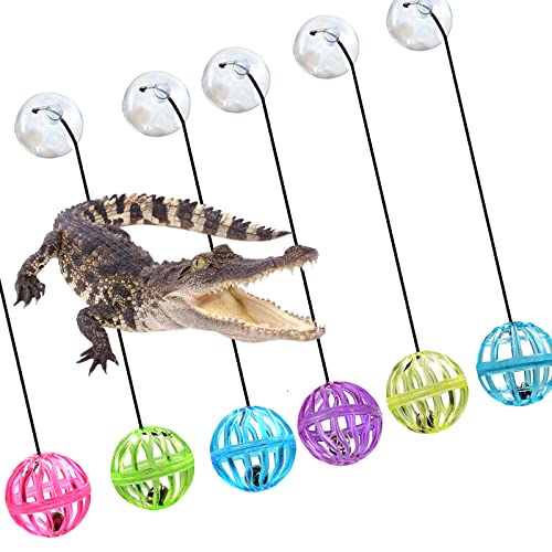 6 Pack Bearded Dragon Toy Balls with Suction Cups