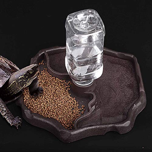 MACGOAL Reptile Food and Water Bowl Set