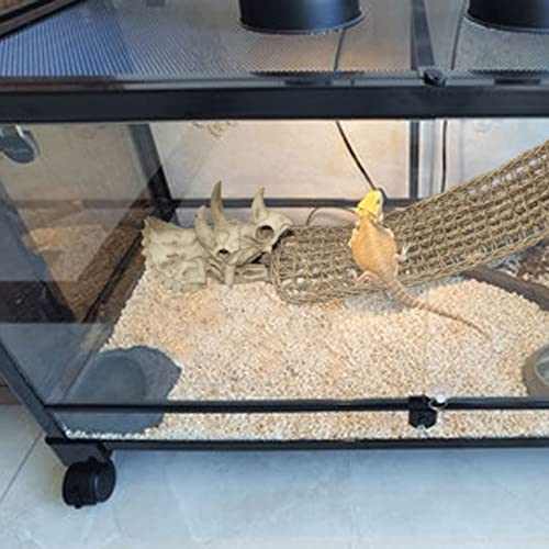 Bearded Dragon Tank Accessories: Triceratops Skull & Hammock