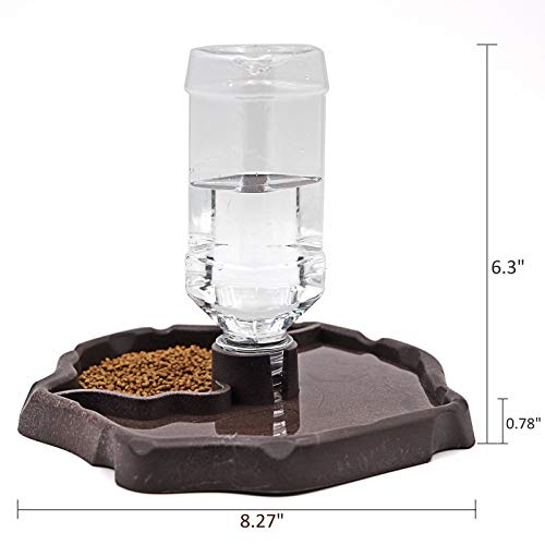 MACGOAL Reptile Food and Water Bowl Set