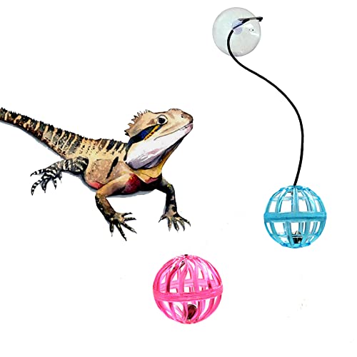 6 Pack Bearded Dragon Toy Balls with Suction Cups