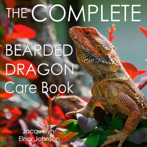 Bearded Dragon Care Guide: Diet, Housing, Health
