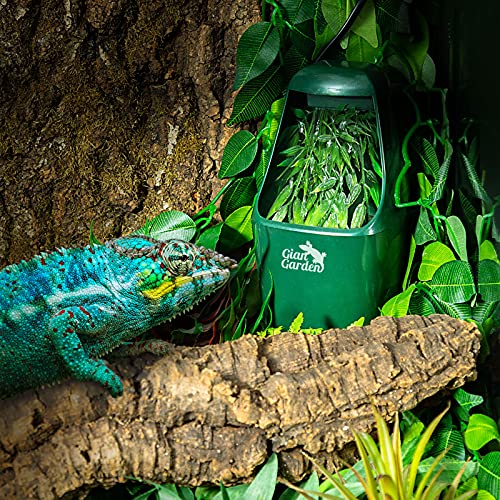 Automatic Water Dispenser for Bearded Dragons and More