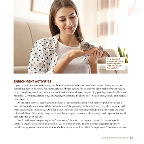 Bearded Dragon Care Guide: Expert Tips Inside