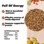 Dried Black Soldier Fly Larvae for Bearded Dragons