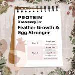 Dried Black Soldier Fly Larvae for Bearded Dragons