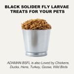 Dried Black Soldier Fly Larvae for Bearded Dragons