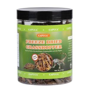 Natural Dried Grasshoppers for Bearded Dragons and More