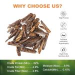 Natural Dried Grasshoppers for Bearded Dragons and More