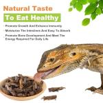 Natural Dried Grasshoppers for Bearded Dragons and More